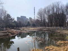 -长白岛森林公园