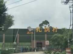 -石岐乳鸽村(南海第三分店)