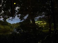 -福建鲤鱼洲酒店