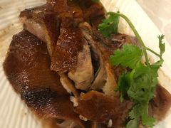 -张记旺角食街(动物园店)