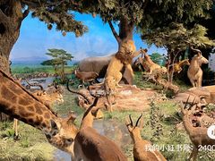 -国家自然博物馆