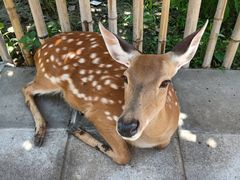 -北京野生动物园