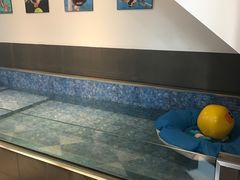 -Oh My Dog宠物沙龙(伊珊娜皮毛护理店)