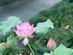 -徽商大宅院