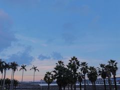 -海堤纪念公园