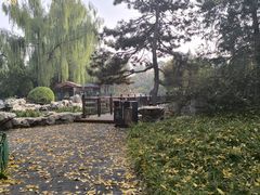 -宣武艺园