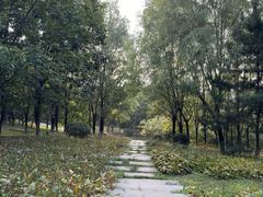 -莫子山公园