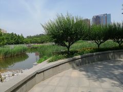 -大望京公园