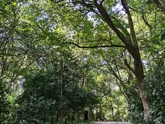 -杭州半山国家森林公园