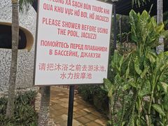 -100蛋泥浆浴