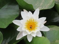 -前关湿地公园