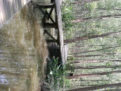 -合肥滨湖国家森林公园