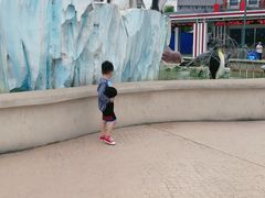 -芜湖新华联大白鲸海洋公园