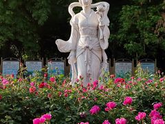 -丰台花园