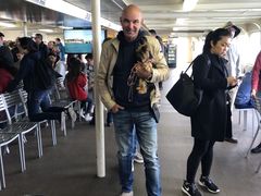 -阿尔卡特拉斯岛