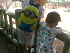 -西安秦岭野生动物园