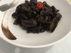 养生小木耳-骏莱海鲜鱼港(五角场店)