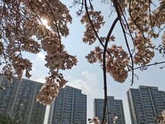 -红星桥(地铁站)