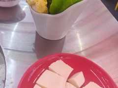 -蚝羊氣惠来羊肉火锅·高压锅生蚝