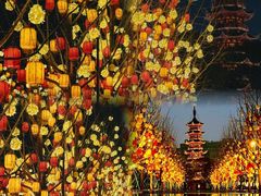 -龙华寺