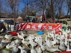 -辛庄国际文化艺术区