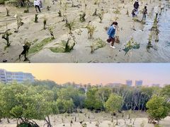 -霞山观海长廊
