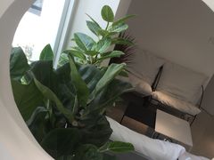 景观位-花沐 FLOWER BATH(凤凰城店)