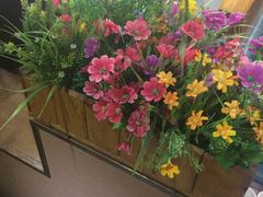 -巴渝菜馆(涿州店)
