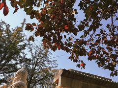 -北京石刻艺术博物馆(五塔寺)