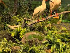 -陕西自然博物馆