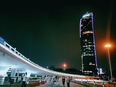 -演武大桥观景平台