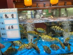 -张家卫·阳江菜·小海鲜(肥婆湾桥店)