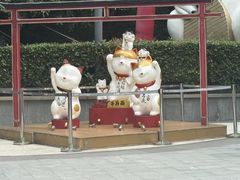 -金虹桥商场