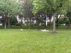 -中国计量大学(西校区)