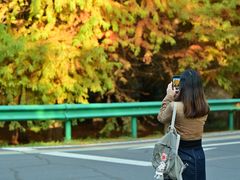 -南京市无想山景区