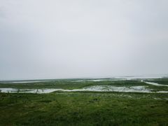 -湖南东洞庭湖国家级自然保护区