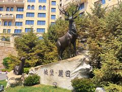 -大堂吧·下午茶·特调鸡尾酒(大连一方城堡豪华精选酒店)