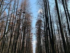 -青山湖景区
