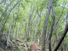 -紫金山山顶公园