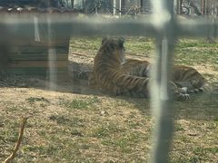 -祥源·阜阳生态乐园