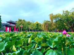-四川大学(望江校区)