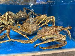 -帝皇海海鲜豆捞(桐泾商务广场店)