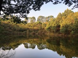-成都飞越丛林探险乐园(锦绣城园区)