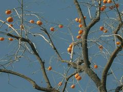 -新大咀港式茶餐厅(宝山万达店)