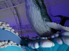 -烟台海昌鲸鲨海洋公园