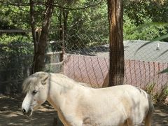 -青藏高原野生动物园