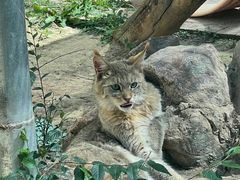 -青藏高原野生动物园