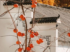 -古德寺