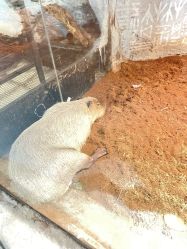 -Zoolung Zoolung动物主题公园(海信广场店)