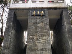 -青龙山国家森林公园